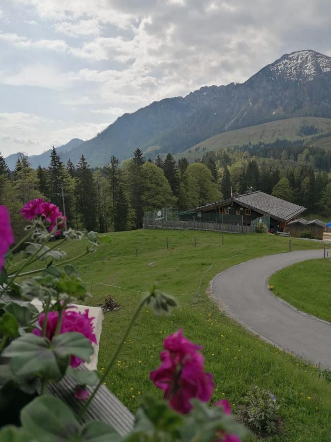 Haus Obweg - Postalm Aparthotel Hallein Luaran gambar
