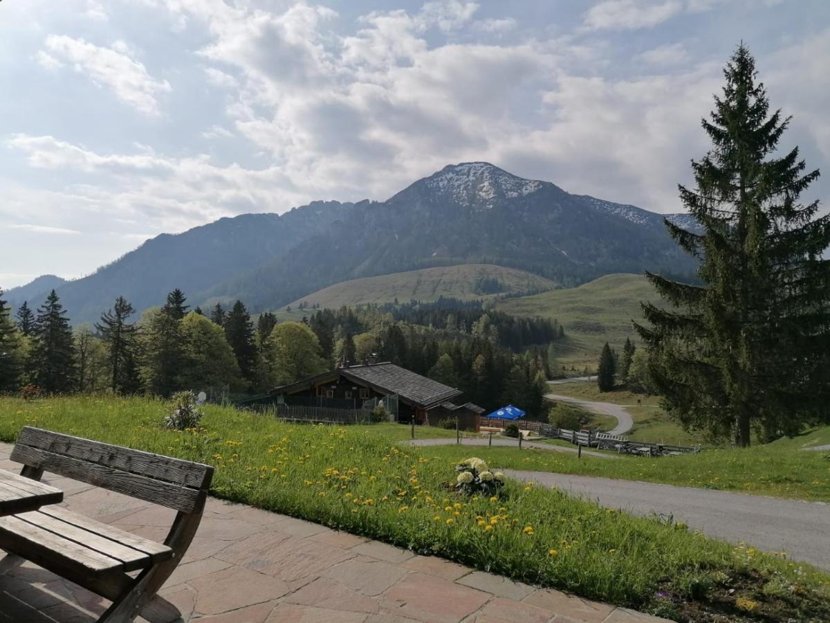 Haus Obweg - Postalm Aparthotel Hallein Luaran gambar