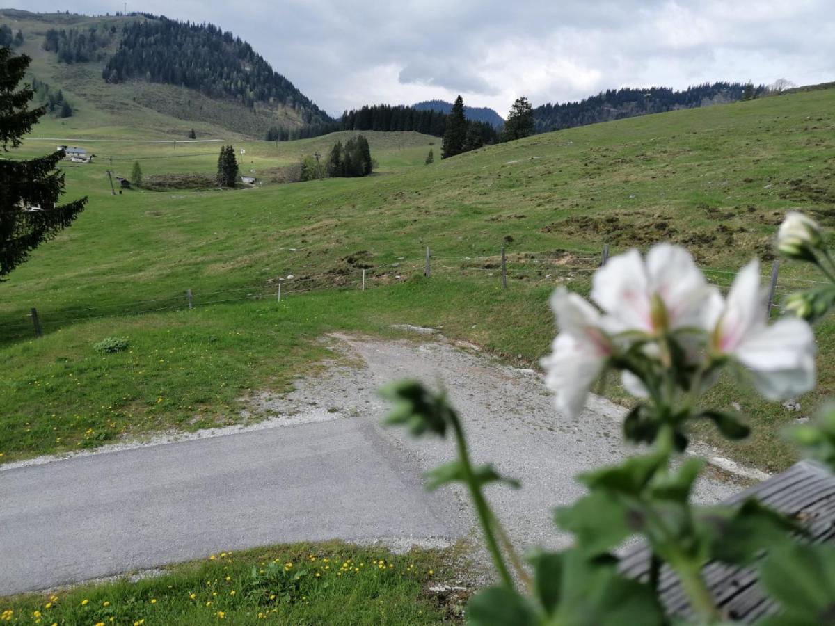Haus Obweg - Postalm Aparthotel Hallein Luaran gambar