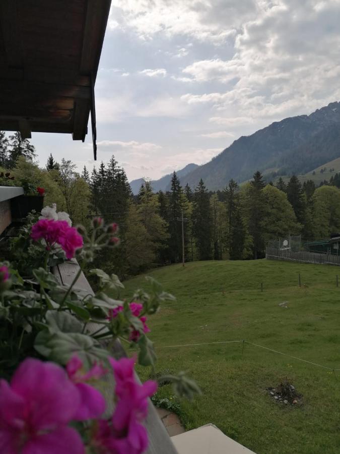 Haus Obweg - Postalm Aparthotel Hallein Luaran gambar